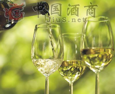 白葡萄酒招商 白葡萄酒招商