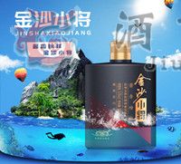 ��ɳС����������Ǯ���˶�����Щ֧��