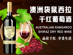 广东路逸斯酒业有限公司