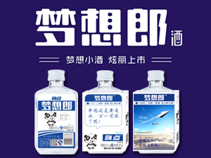 嗨点梦想郎小酒全国运营中心