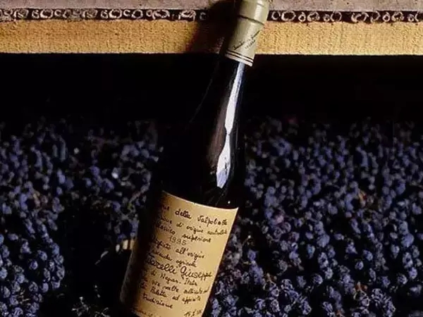 ����.webp (3).jpg