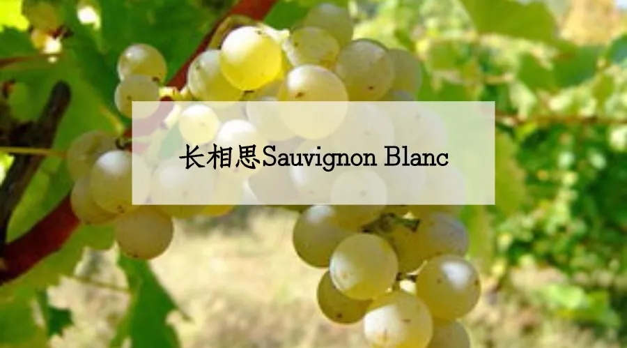 ����.webp (1).jpg