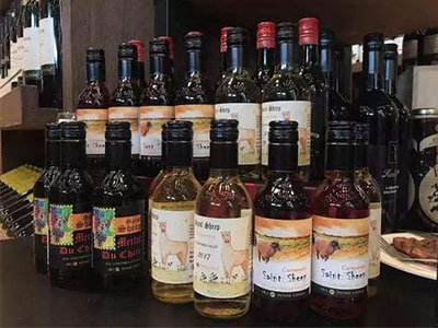 Сƿװ���Ѿƽ���Ϊ������?1).jpg
