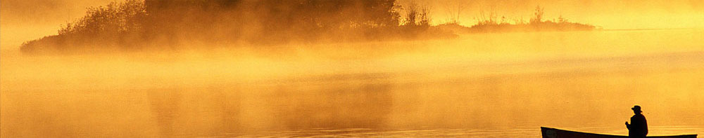 banner_undefined