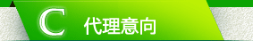 代理意向