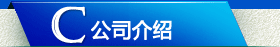 公司介绍
