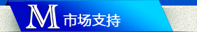 市场支持