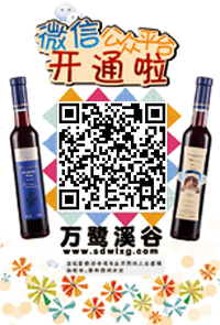 山东万鹭酒业有限公司